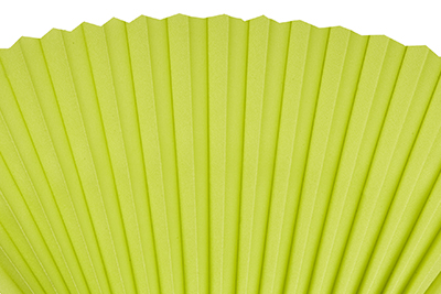 Зеленая штора