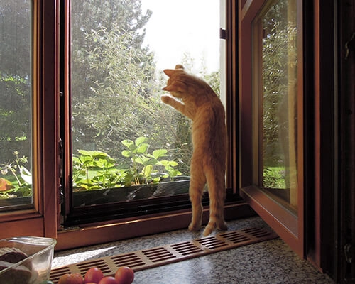 Распашные москитные сетки