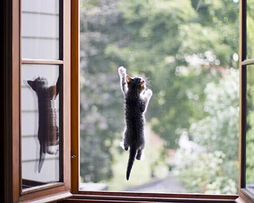 Рамочные москитные сетки