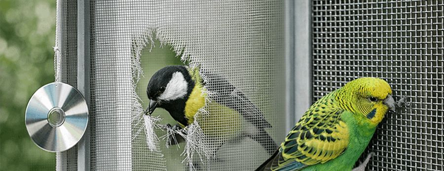 Как защитить москитную сетку от птиц: лучшие способы
